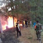 Hutan Rakyat di Lembang Rindingallo Terbakar, Aparat Gabungan Lakukan Upaya Pemadaman