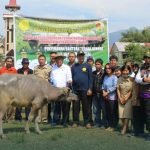 BUPATI KALATIKU SERAHKAN BANTUAN KERBAU 100 EKOR PADA KELOMPOK TANI 