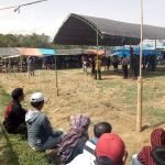 Bubarkan Judi Sabung Ayam,  Polisi: Tidak Ada Izin Untuk Judi 