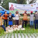 Di Tengah Pandemi, DPK Toraja Utara Motivasi Masyarakat Tanam Hortikultura