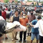 Menteri Pertanian Berjanji Akan Segera Benahi Pasar Hewan di Toraja Utara 