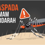 Waspada! Sudah 3 Kasus Demam Berdarah di Toraja Utara