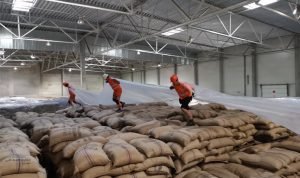 Ini Dia Bahan Fumigasi Menurut Organisasi Pangan dan Pertanian Yang Harus Diketahui