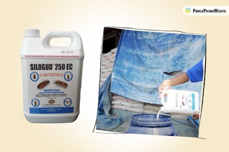 Silogud 250 EC sebagai obat fogging terbaik