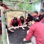 Mahasiswa KKN UKI Toraja Tanam 500 Bibit Mangga dan Manggis di Lembang Rante