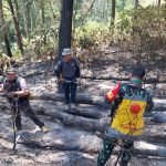 Kebakaran Hutan Seluas 4 Ha di Rantebua Berhasil Dipadamkan Tim Gabungan