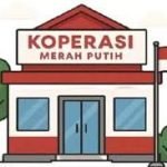 Pengurus Koperasi Merah Putih Desa/Kelurahan Toraja Utara Belum Mendapatkan Pelatihan